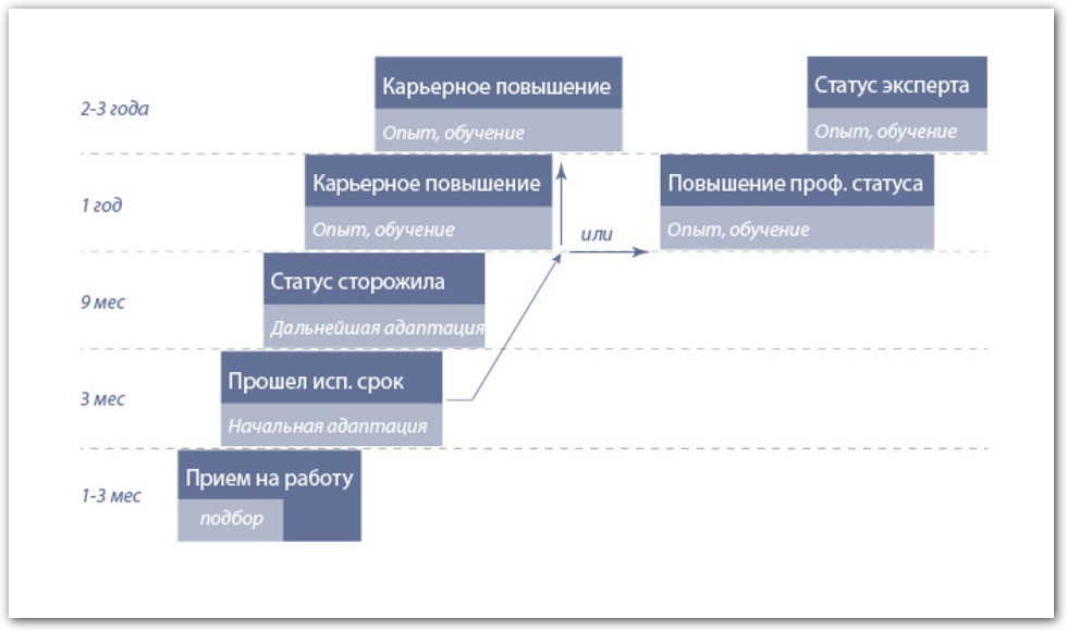 карьерный путь сотрудника